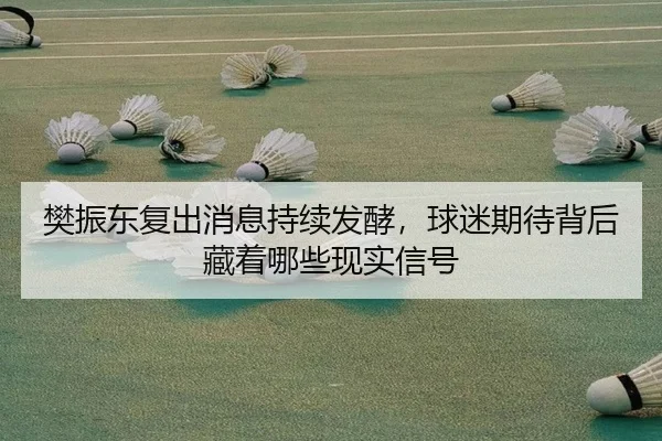 樊振东复出消息持续发酵，球迷期待背后藏着哪些现实信号